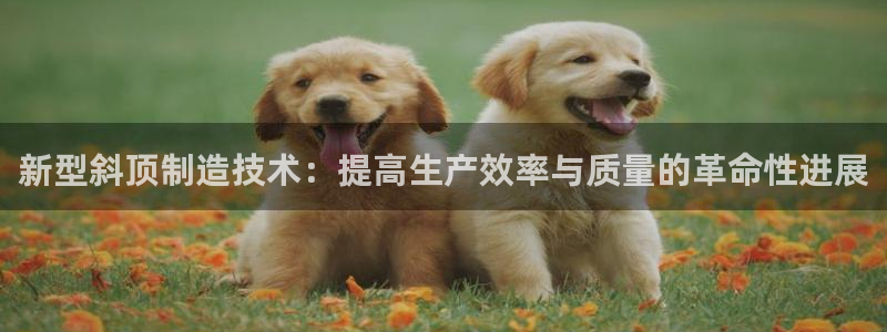 谈球吧的聊天软件