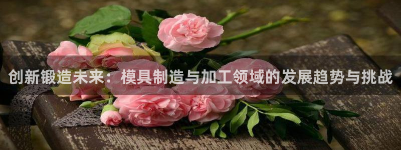 谈球吧官网在线入口免费观看高清