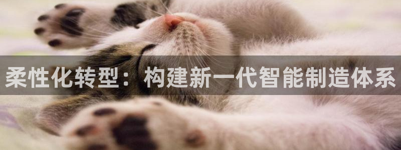 谈球吧娱乐app下载官网苹果版