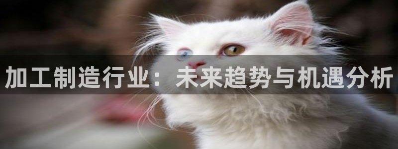 谈球吧是黑台子吗还是白台