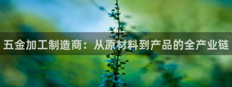 谈球吧在线登录免费观看