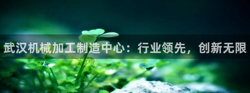 谈球吧的聊天软件是什么