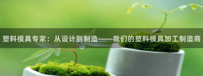 谈球吧电子app