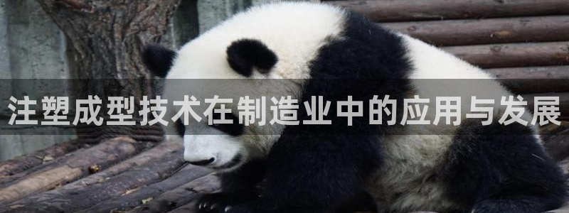 谈球吧体育app官网