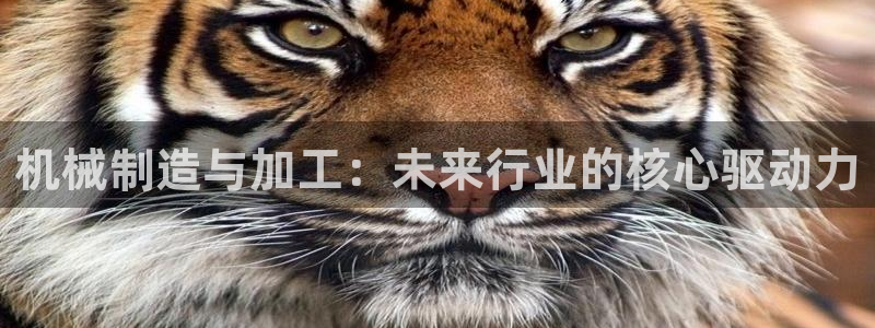 谈球吧APP入口