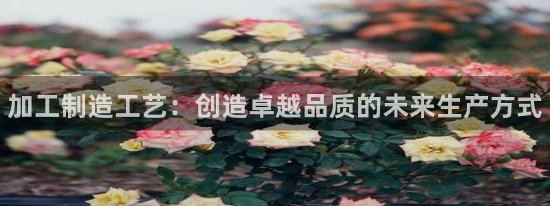 谈球吧不出款