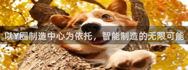 谈球吧网app官网下载