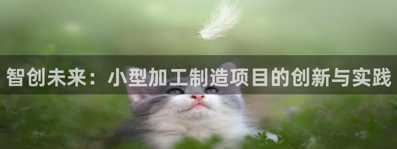 谈球吧平台正规吗可靠吗