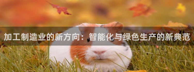 谈球吧官网在线入口免费观看高清版