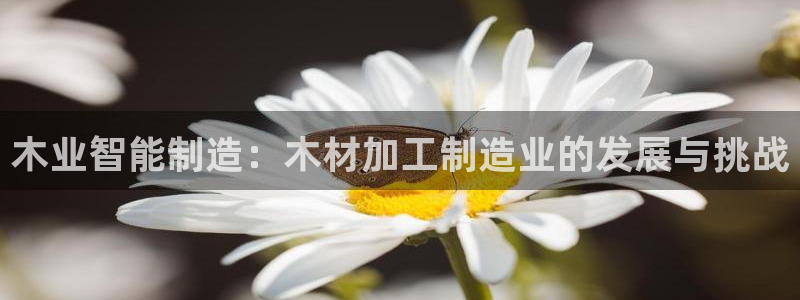 谈球吧app赛事分析