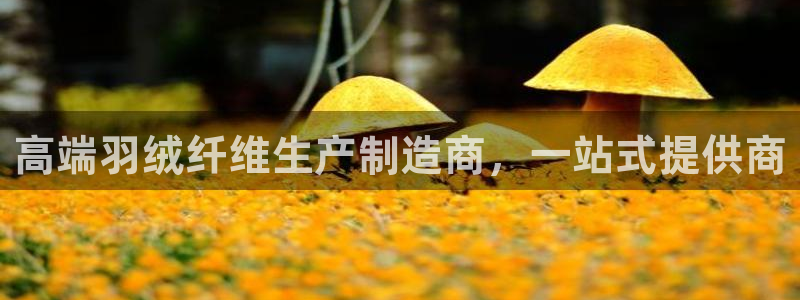 谈球吧网页登录