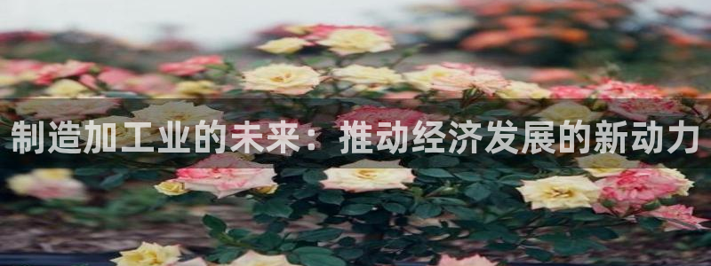 谈球吧咋样