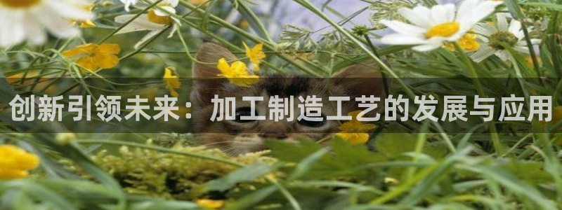 谈球吧官网首页