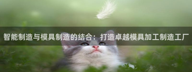 谈球吧的聊天软件