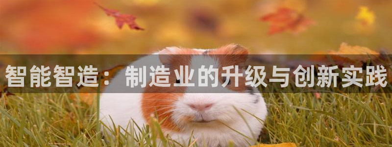 谈球吧可靠吗